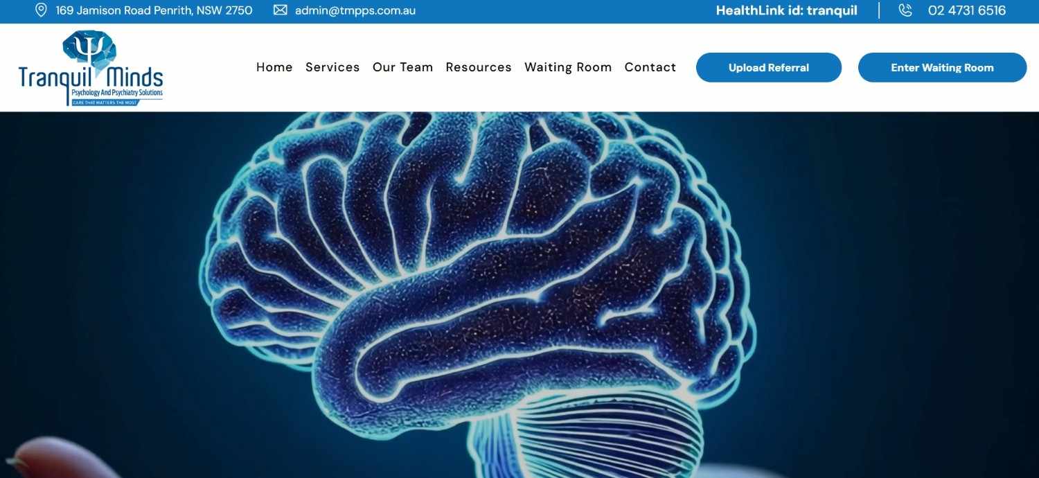 a portfolio tmpps image